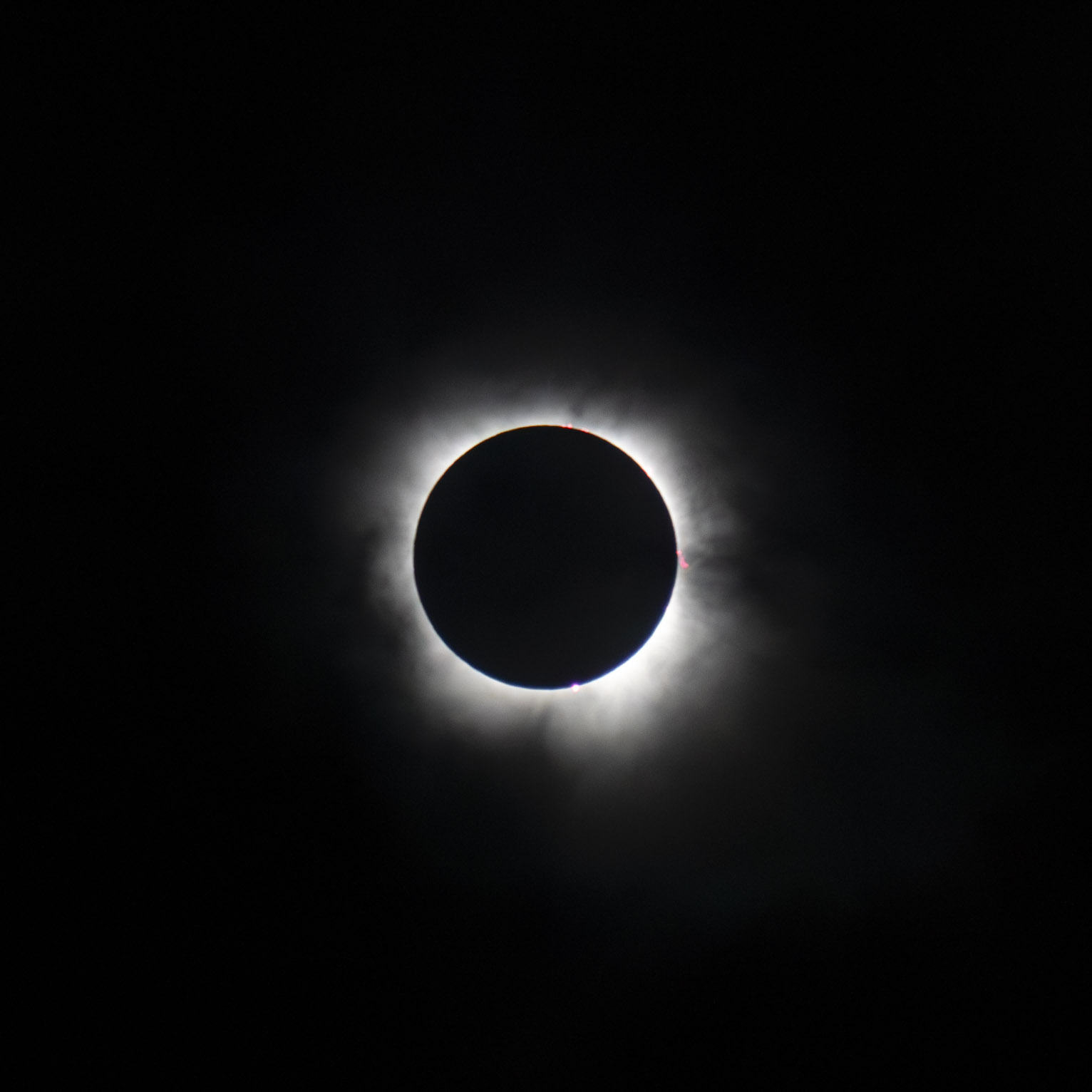 Centered, the total solar eclipse on black, some orange prominences visible